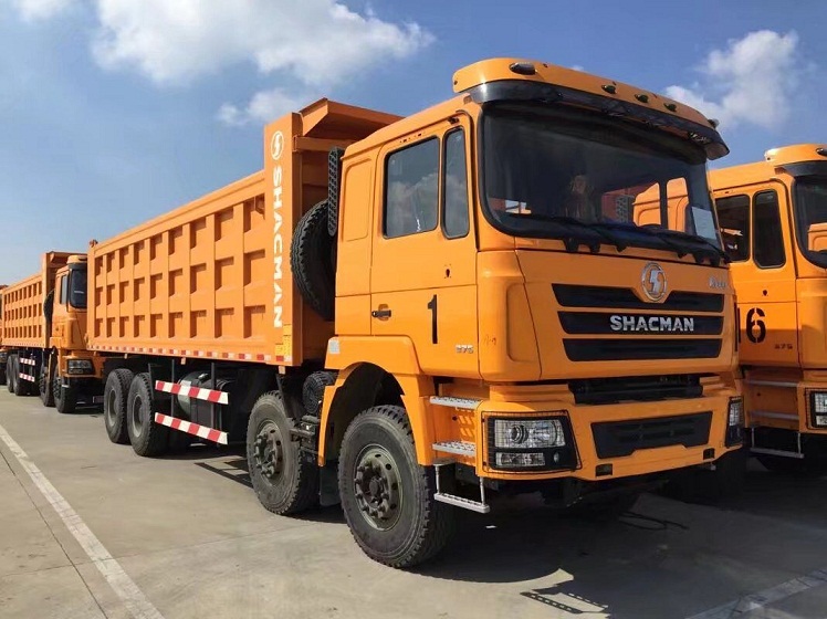 Camion à benne basculante sur roues SHACMAN F3000