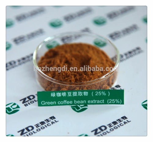 Green coffee bean extract Chlorogenic acid 25%