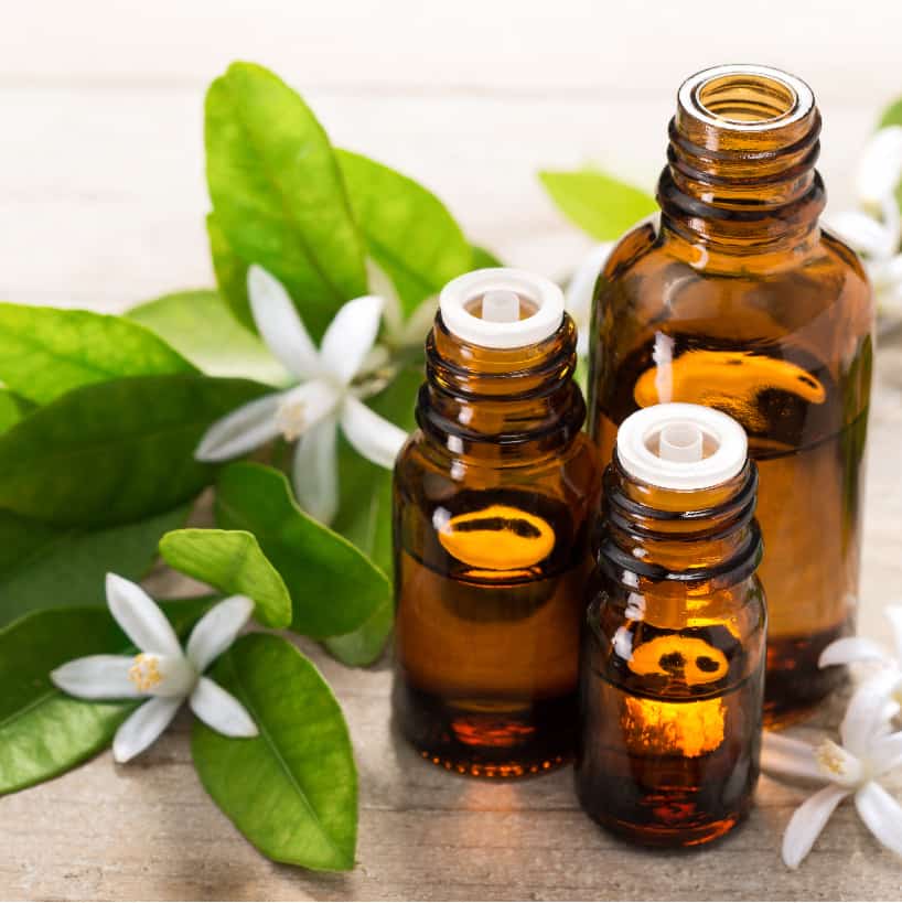 Neroli Oil1