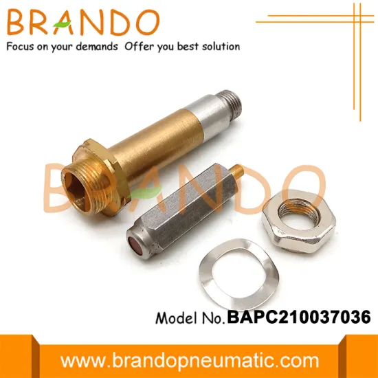 BAPC210037036 M12 Thread Brass Automotive Solenoid Armature