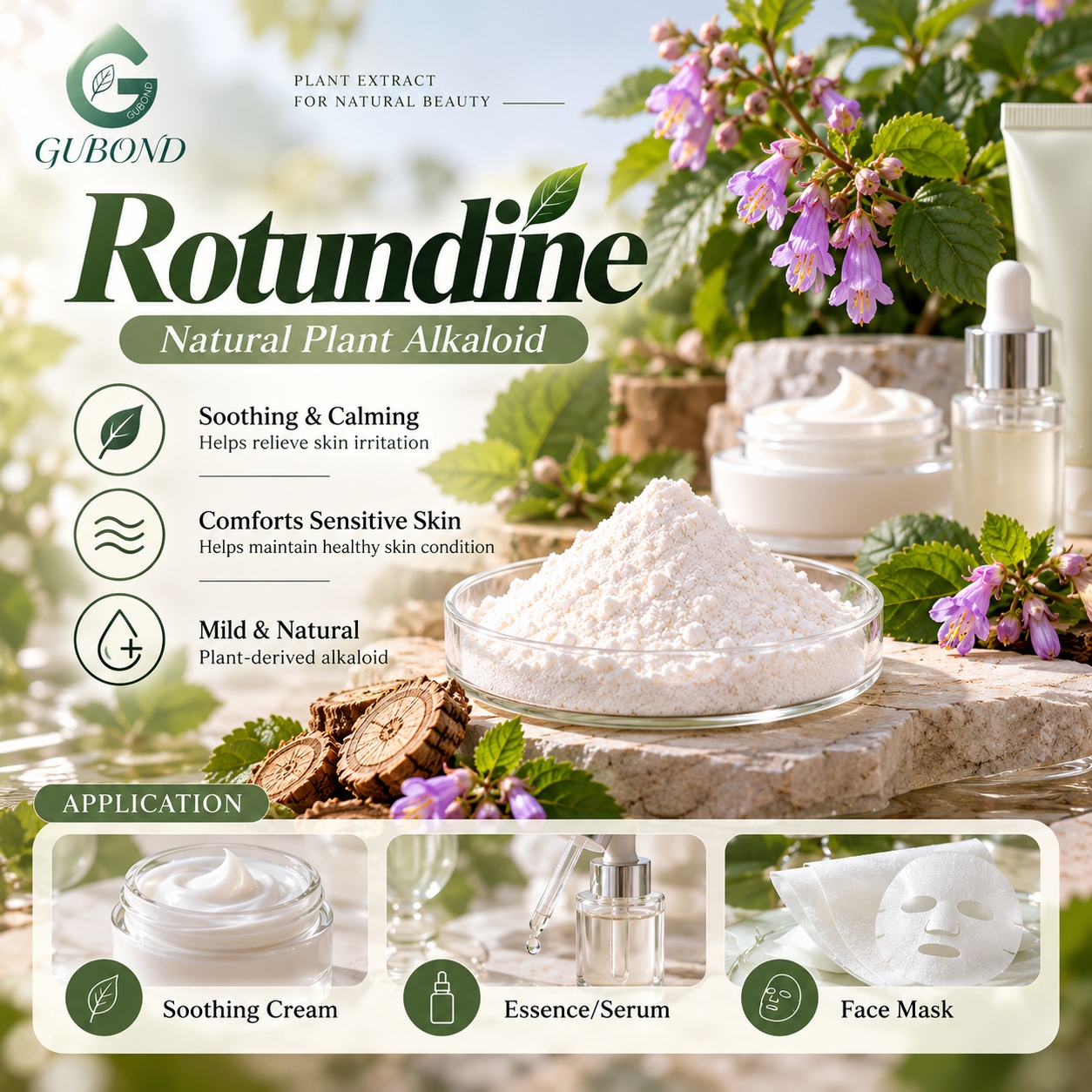 Rotundine (7)