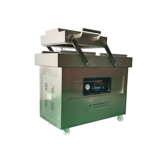 Table-Top Multifunctional Double Chamber Fish Vacuum Sealer