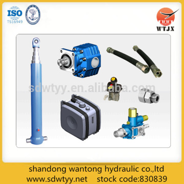 hydraulic cylinder with pump