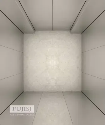 Fuji Elevator Manufacturer Luxury Villa Lift for 1600kg Passenger Elevator