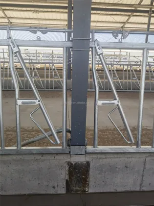 Hot Sell Cow Headlock Auto Release Cattle Stall Gate for Dairy and Beef Farms