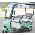 Enclosed electric passager trike