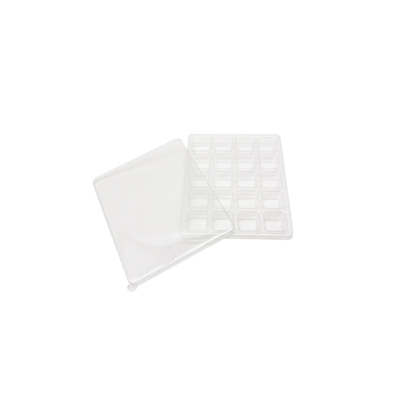 Food grade PET plastic blister tray with lid