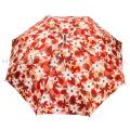 Best Women's Rain Umbrellas