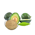 Water Soluble Avocado Extract Powder for Beverage