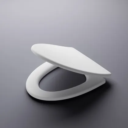 Roca Hall Toilet Seat with Bumper, Shower Hinge Cover & CE Certificate