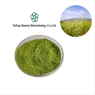 Organic Highland Barley Grass Powder for Nutrient-Rich Smoothies