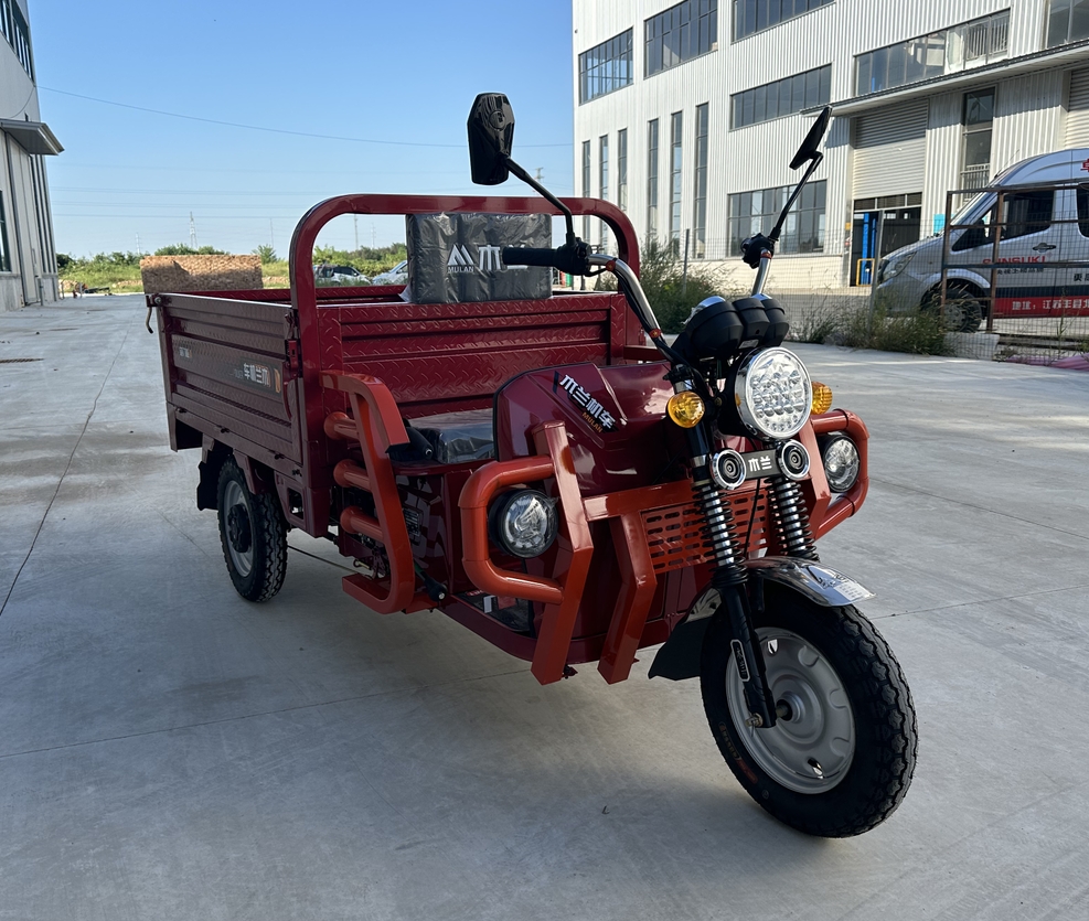 Cargo Electric Tricycle