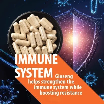 Tribulus Panax Ginseng Capsules Man Ginseng Capsule