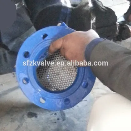 Water meter before the filter/Water meter filter