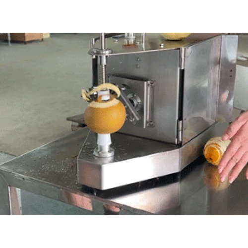 Potato Peeler Machine Automatic Orange Peeler Lemon Peeler Machine Supplier