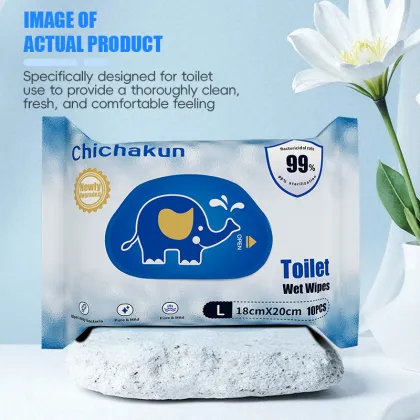 Convenient Toilet Flushable Wipes Pack