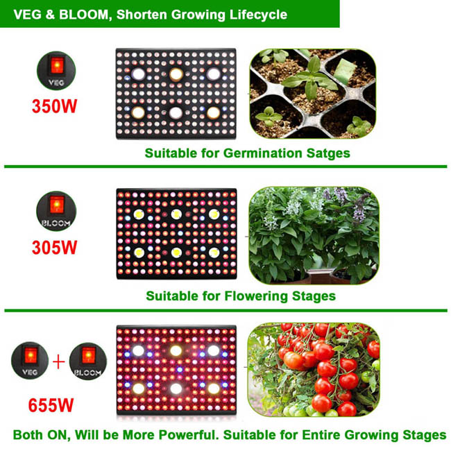 3000w LED 식물 성장 조명 전체 스펙트럼