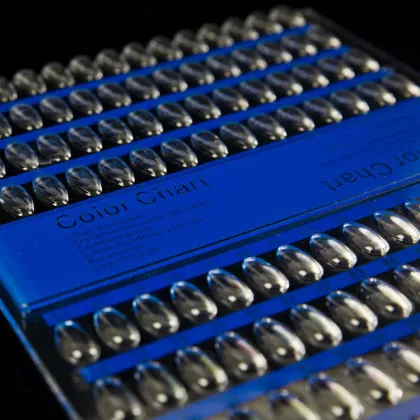 120 Plates Manicure Pedicure Polish Color Display Chart