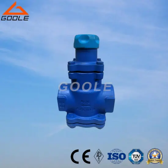 Spring Bellows Pressure Reducing Valve (BRV71/BRV73)