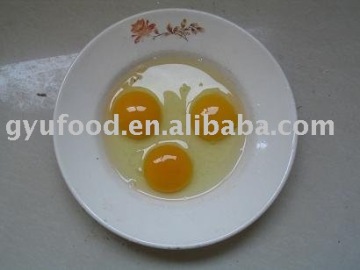 dired egg powder