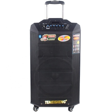 Temeisheng 10 Inch Outdoor DJ Portable Trolley Speaker with Karaoke and Stereo Wireless BT Connection