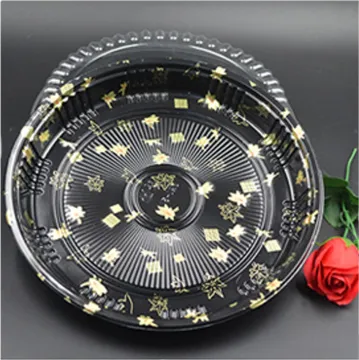 Plastic Sushi Party Tray for Takeaway Food Packaging