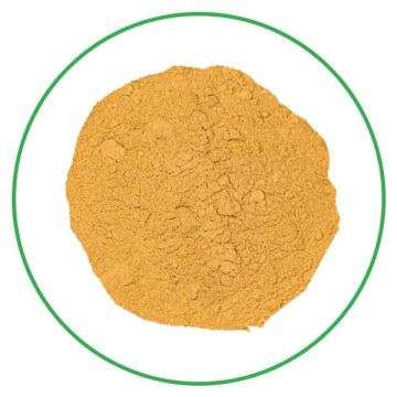 High quality sea buckthorn berry juice powder