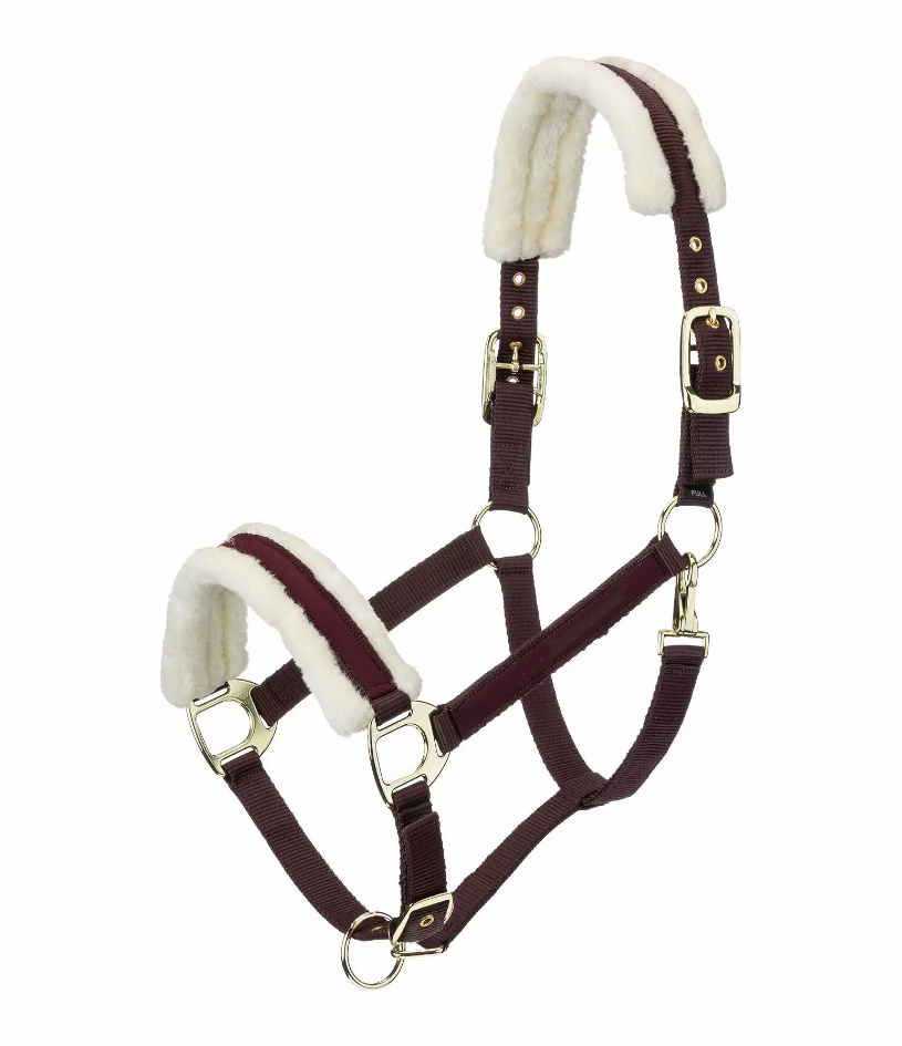 Horse Bridle