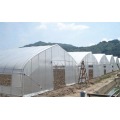 Agriculture Multi Span Film Greenhouse