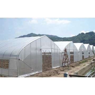 Agriculture Multi Span Film Greenhouse