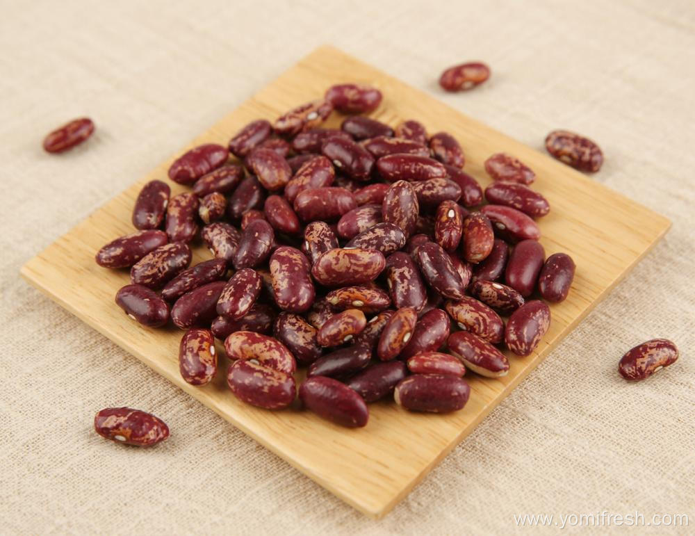 Kidney Beans Gluten Free