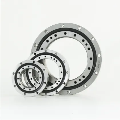 SHF 50 Harmonic Reducer Bearing