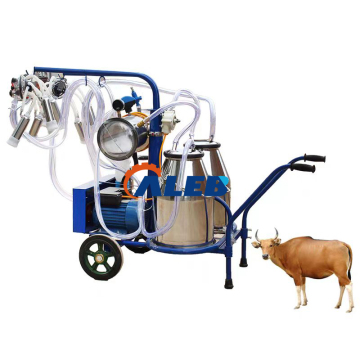 Attrezzature agricole a prezzi accessibili: scopri le migliori offerte su macchine per mucche, capra e pecore e pompe a vuoto