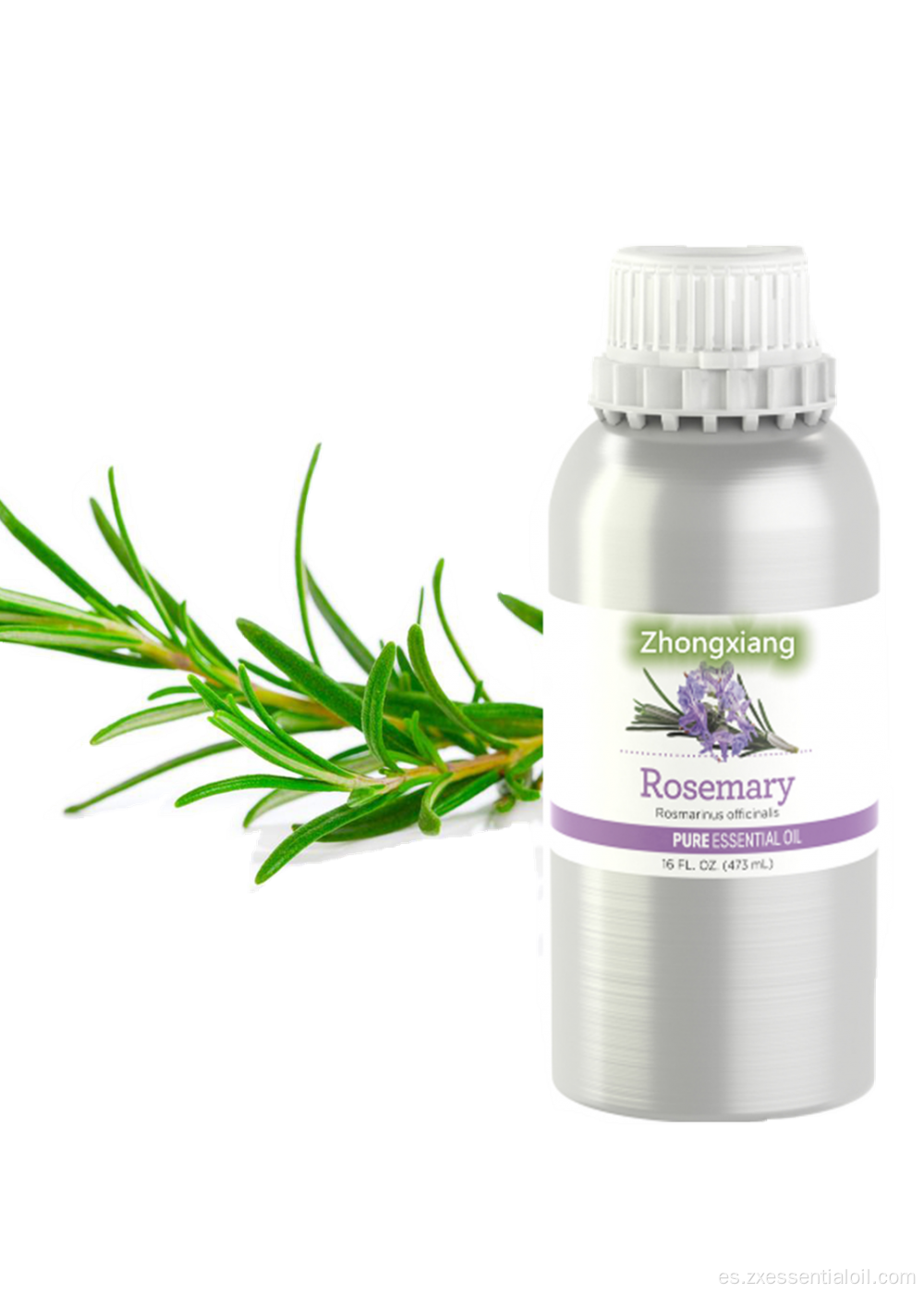 Pure Essential Rosemary Oil Bulk