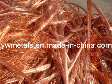 High Quality Copper Scrap/Copper Wire Scrap