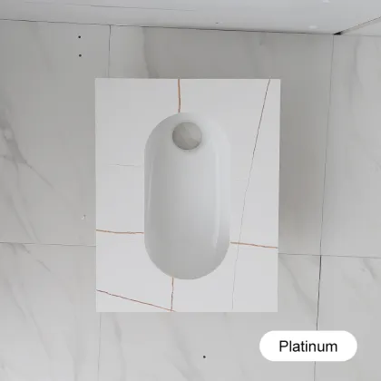 Sintered Stone Dual-Flush Squat Toilet with Tank