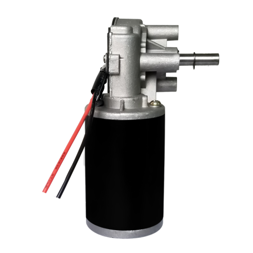 ZD63R-3680-40 DC Gear Motor - MAINTEX