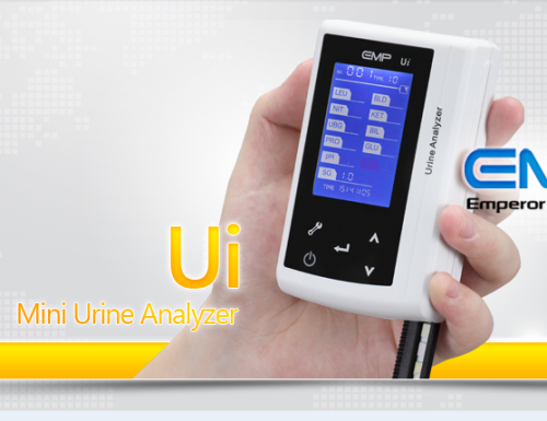 Mini Urine Analyzer