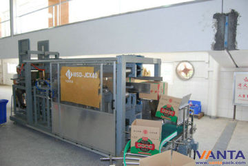 30 - 60 Cartons Automatic Carton Erector With Bottom Sealing Machine
