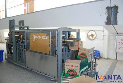 30 - 60 Cartons Automatic Carton Erector With Bottom Sealing Machine