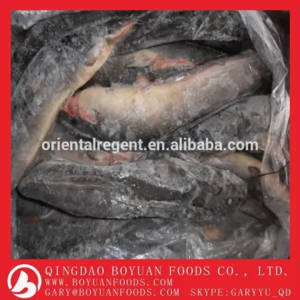 frozen catfish fillet