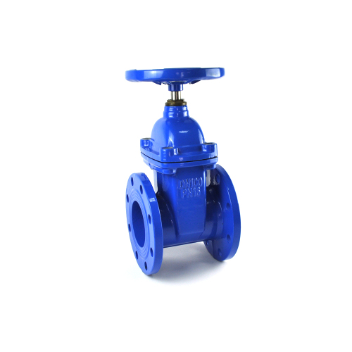 high quality low price DN65 PN16 rising stem ductile iron sluice gate valve