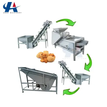 Walnut and Pecan Shelling Processing Line