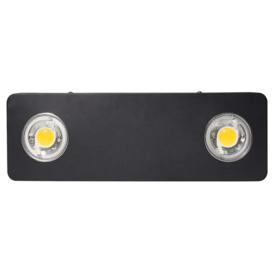 Wide input voltage AC85-265V mushroom grow light cob led grow light