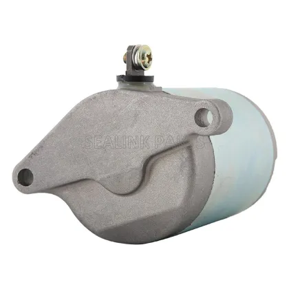 NEW Motorcycle Starter Motor for SYM 200 RV180 GTS180 31200-HLA-000 03-14
