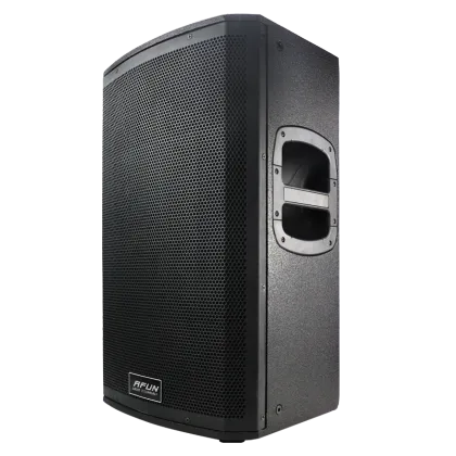 Fashion Stage High Power Subwoofer Speaker