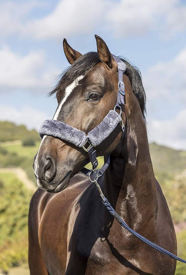 Hot Selling Headcollar Horse Sheepskin Halter