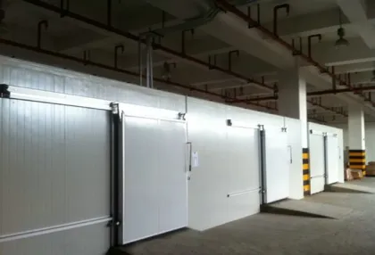 Cold storage electric sliding door