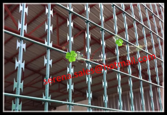 pvc coated anti climb green weld razor wire mesh (China Manufacture)