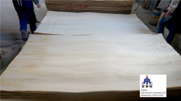Rotary Cut Poplar Veneer
